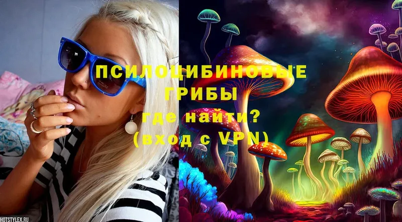 Псилоцибиновые грибы GOLDEN TEACHER  omg tor  Верея 